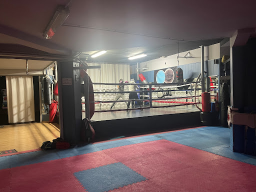 Escuela de Boxeo Fight Club Segovia en Segovia
